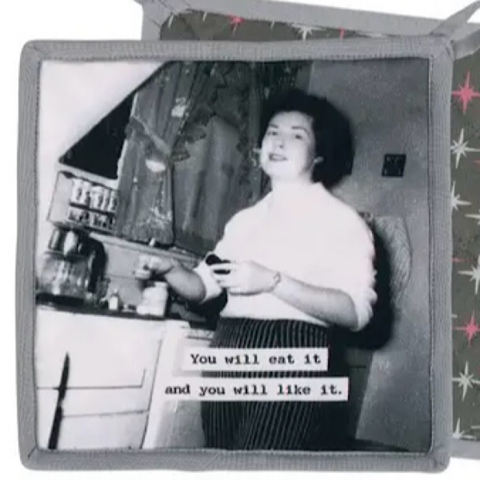 Pot Holder - You Will Eat It And You Will Like It