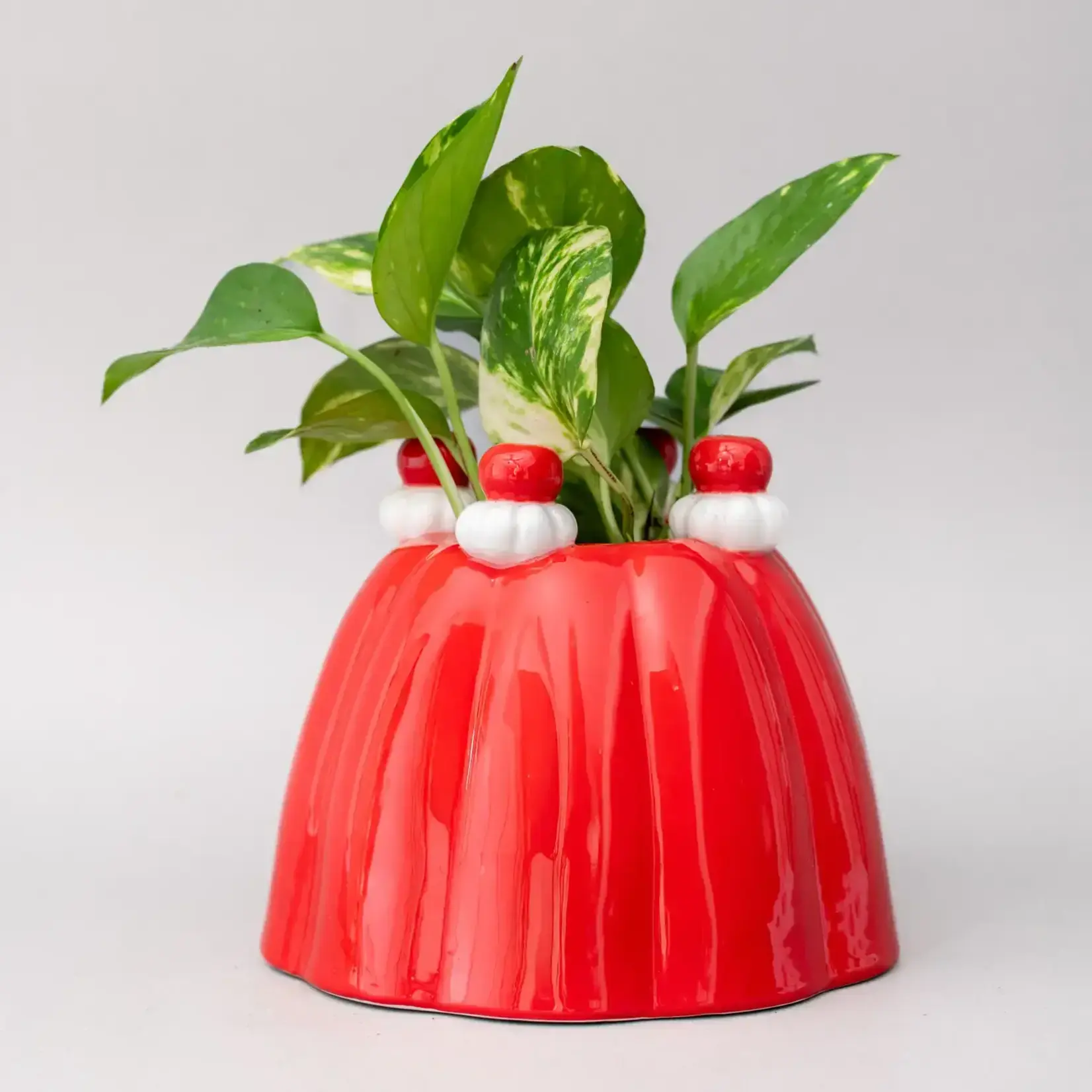 Ceramic Vase - Jello Mold