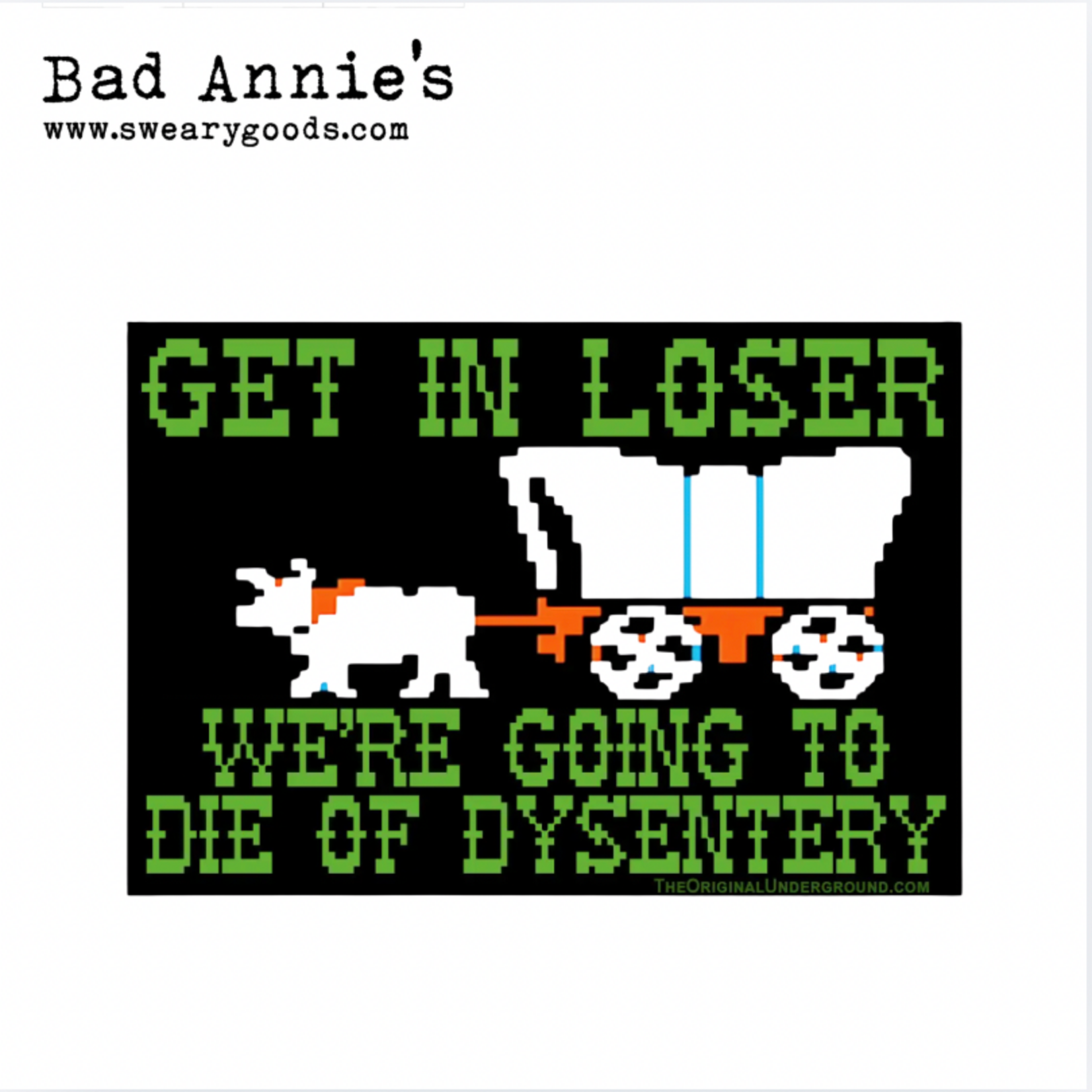 Sticker - Get In Loser, We're Going To Die Of Dysentary