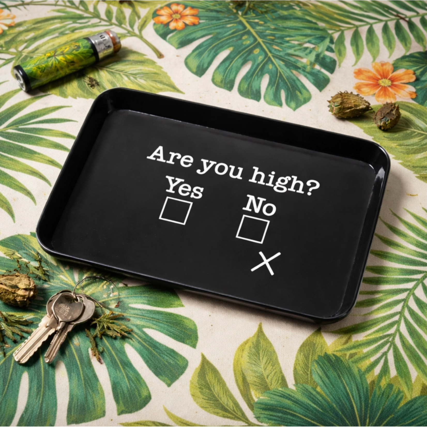 Tray - Are You High?