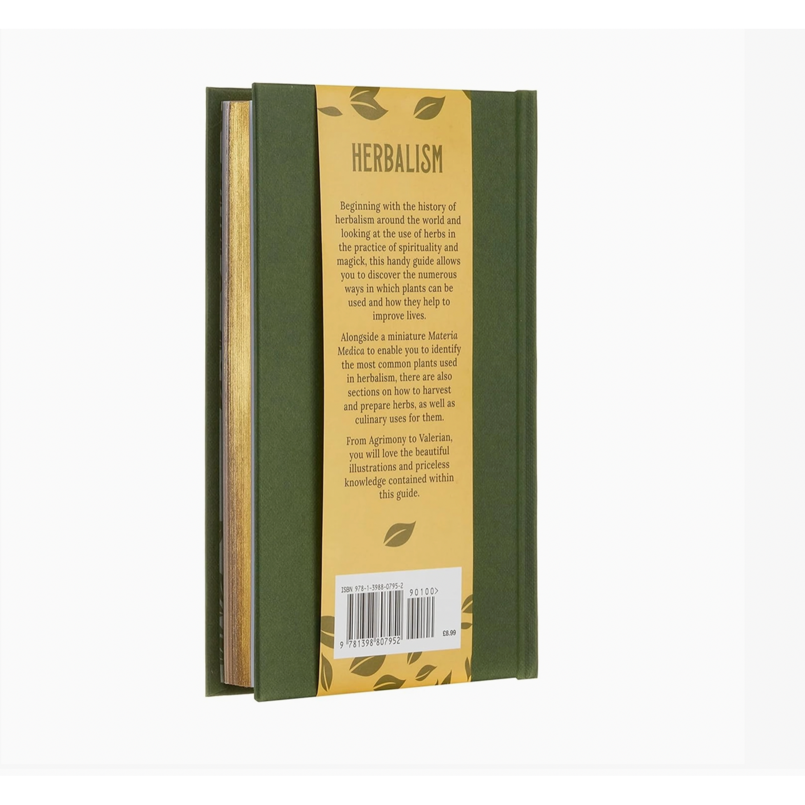 Book - Herbalism-Plants And Potions That Heal