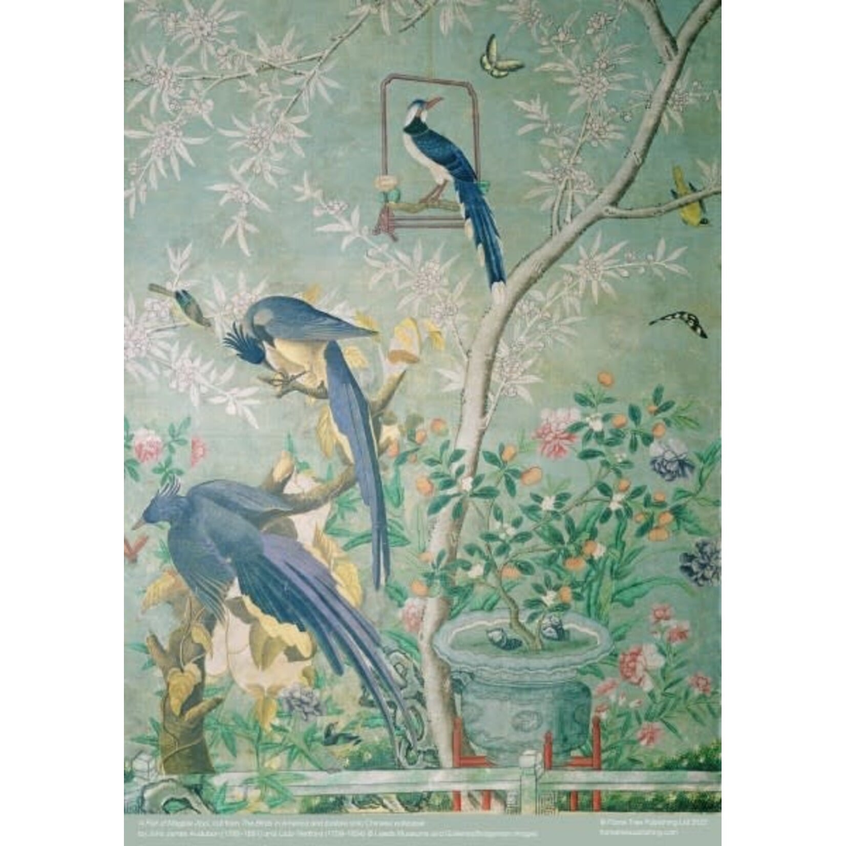 Puzzle (500 pc.) - Audobon: A Pair Of Magpie Jays