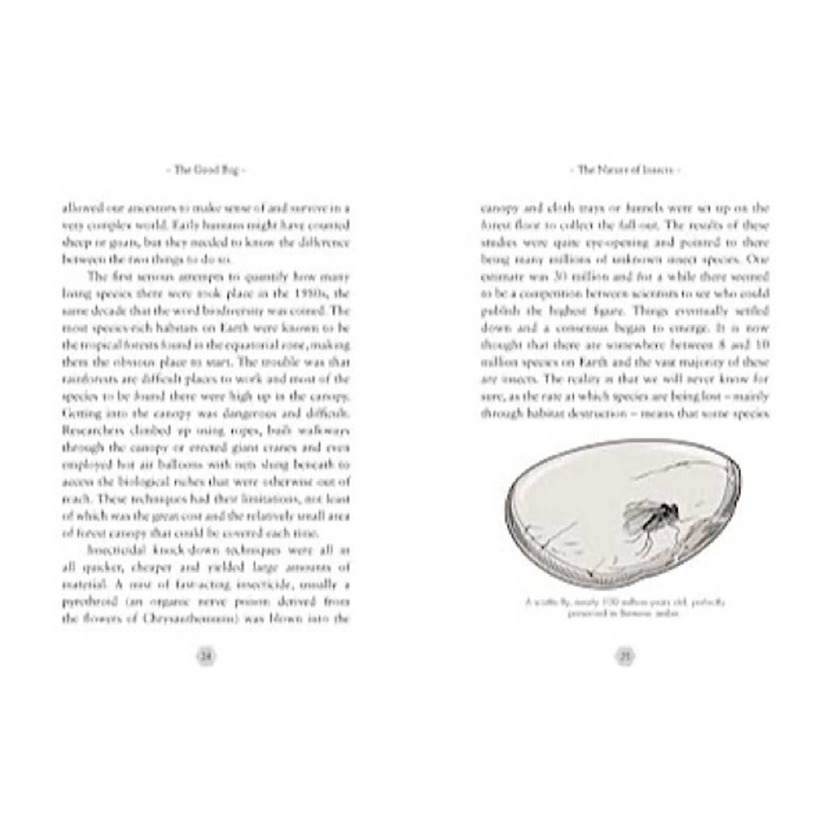 Book - The Good Bug: A Celebration of Insects And What We Can Do To Protect Them