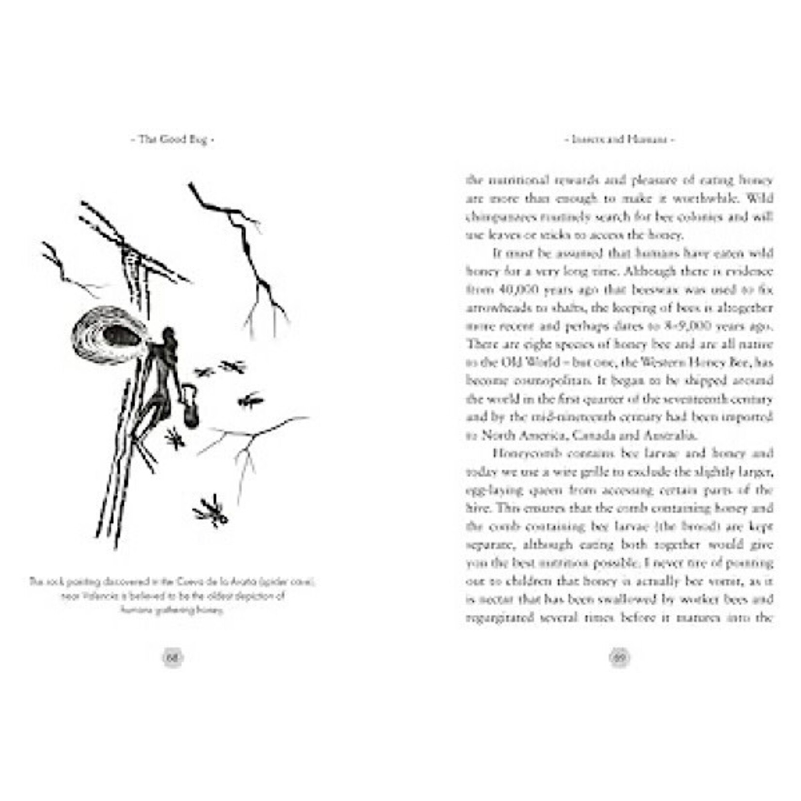Book - The Good Bug: A Celebration of Insects And What We Can Do To Protect Them