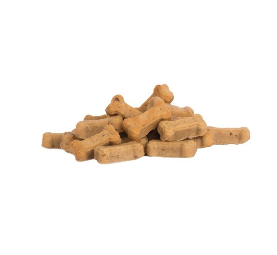 Dog Biscuit Mold
