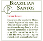 Fresh Roasted Coffee - Brazilian Santos