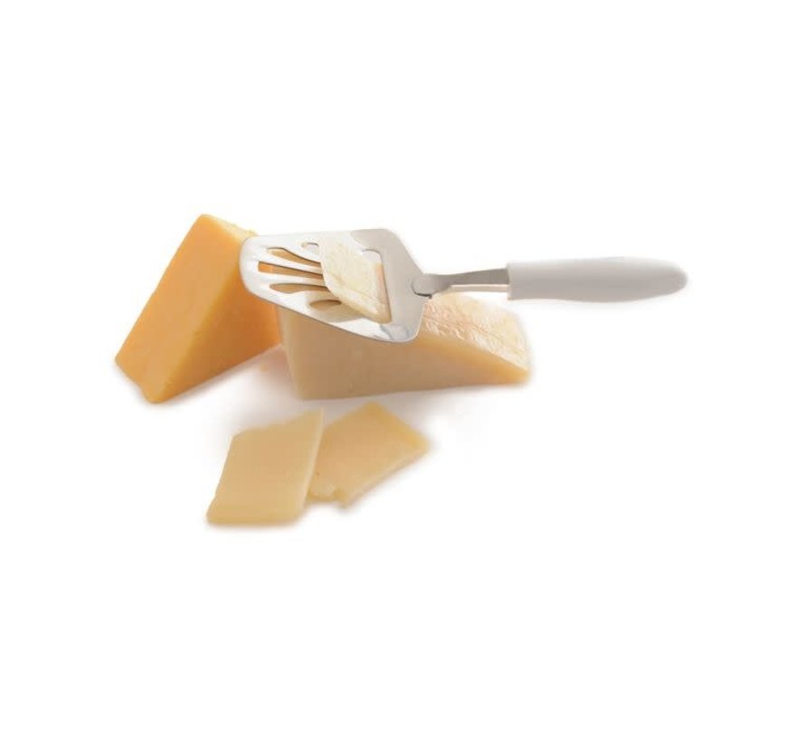 My Favorite Cheese Plane