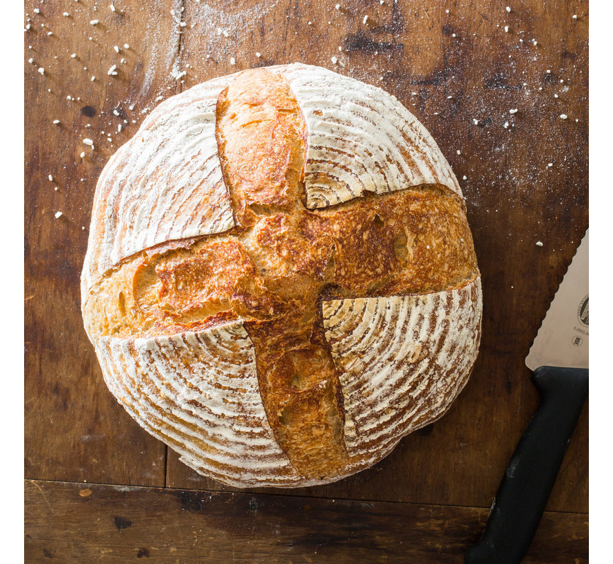 Breadtopia Sourdough Starter Spoons N Spice