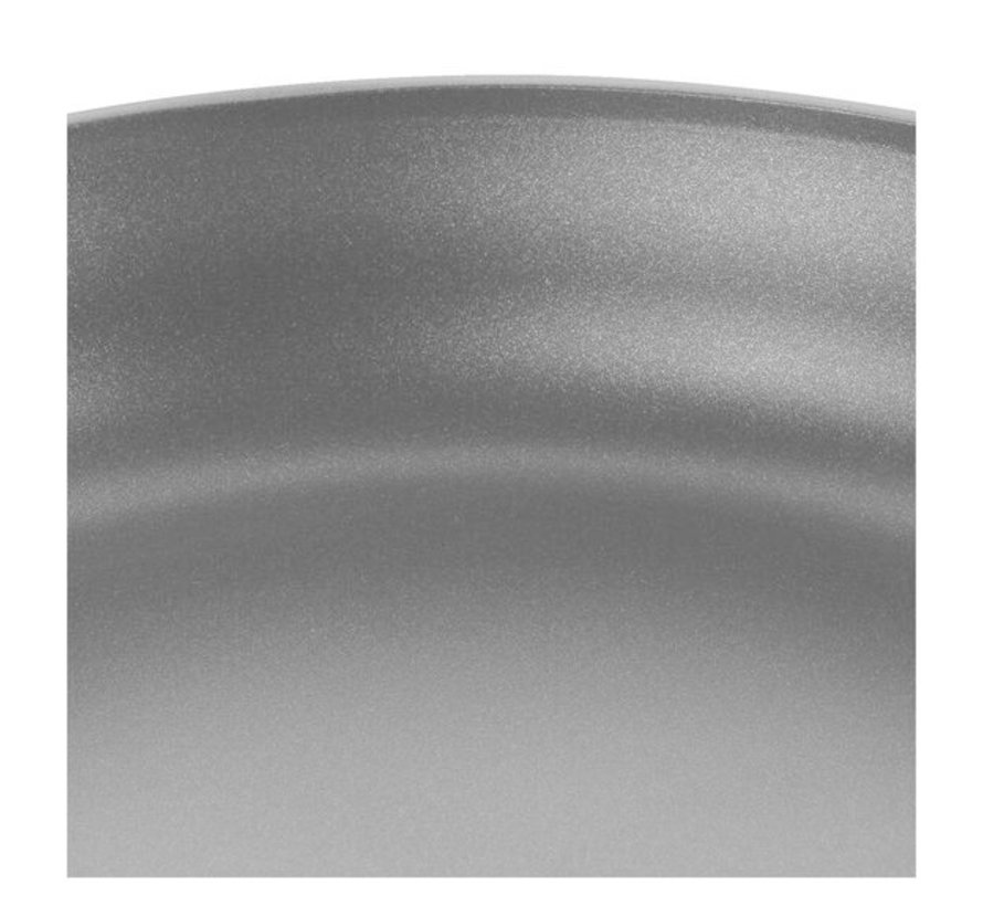 Motion 10'' Fry Pan