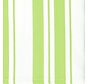 Pistachio Cotton Stripe Dish Cloth -  Set of 2