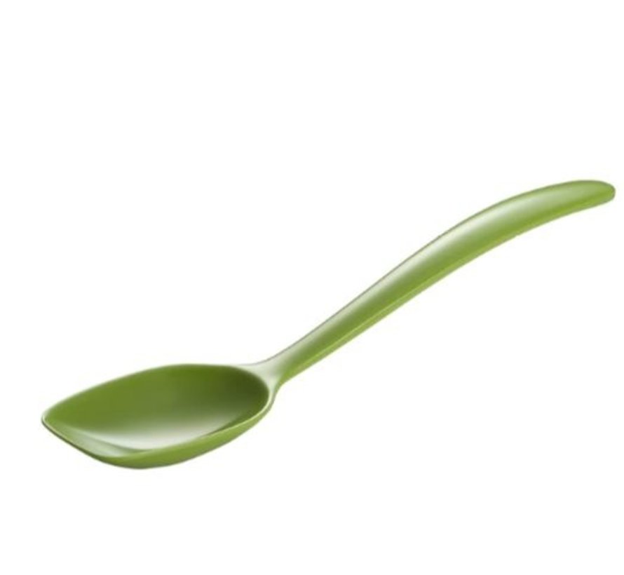 Mini Spice Spoons