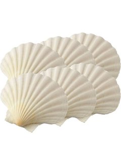 Maine Man Natural Scallop Baking Shells Small - 6 Piece