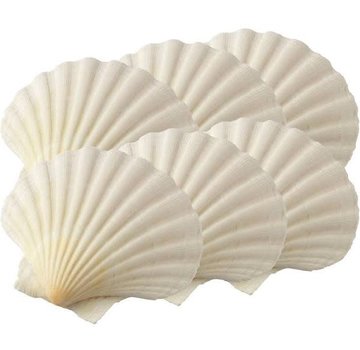 Maine Man Natural Scallop Baking Shells Small - 6 Piece