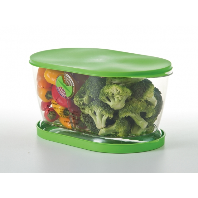 Progressive Lettuce Keeper Spoons N Spice