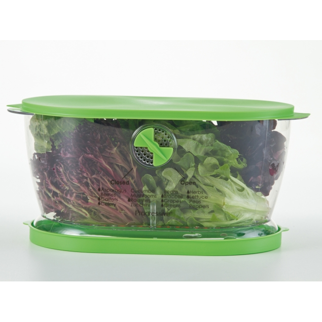 Progressive Lettuce Keeper Spoons N Spice