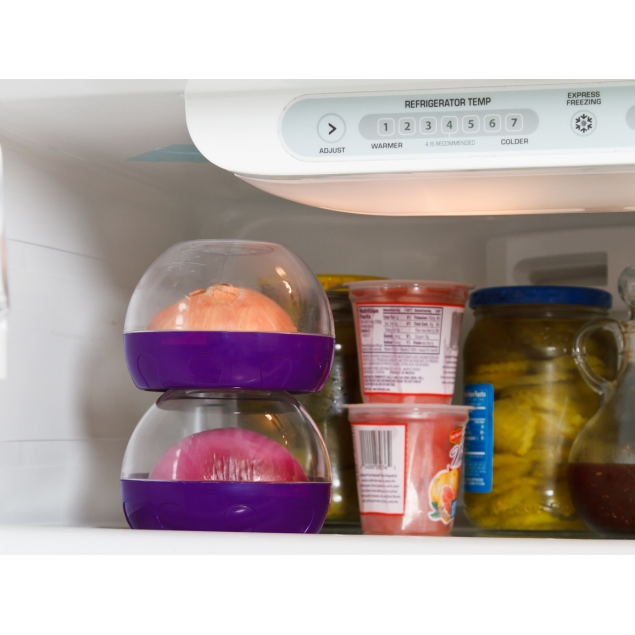 Progressive Onion Keeper Spoons N Spice