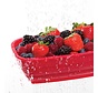 Collapsible Berry Colander