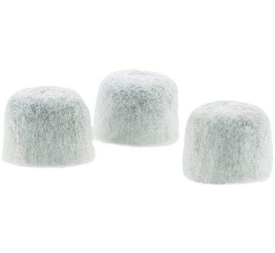 Charcoal Water Filters, 3 Pack