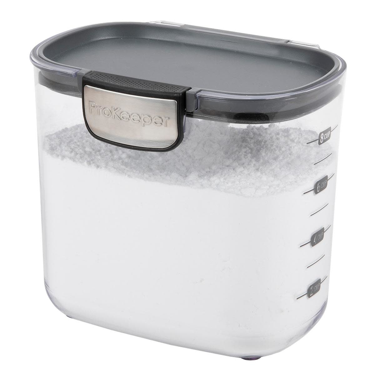 Progressive ProKeeper+ Powdered Sugar Storage Container Spoons N Spice