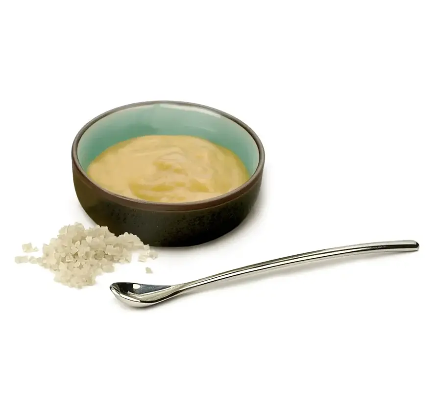 Tiny Salt/Condiment Spoon