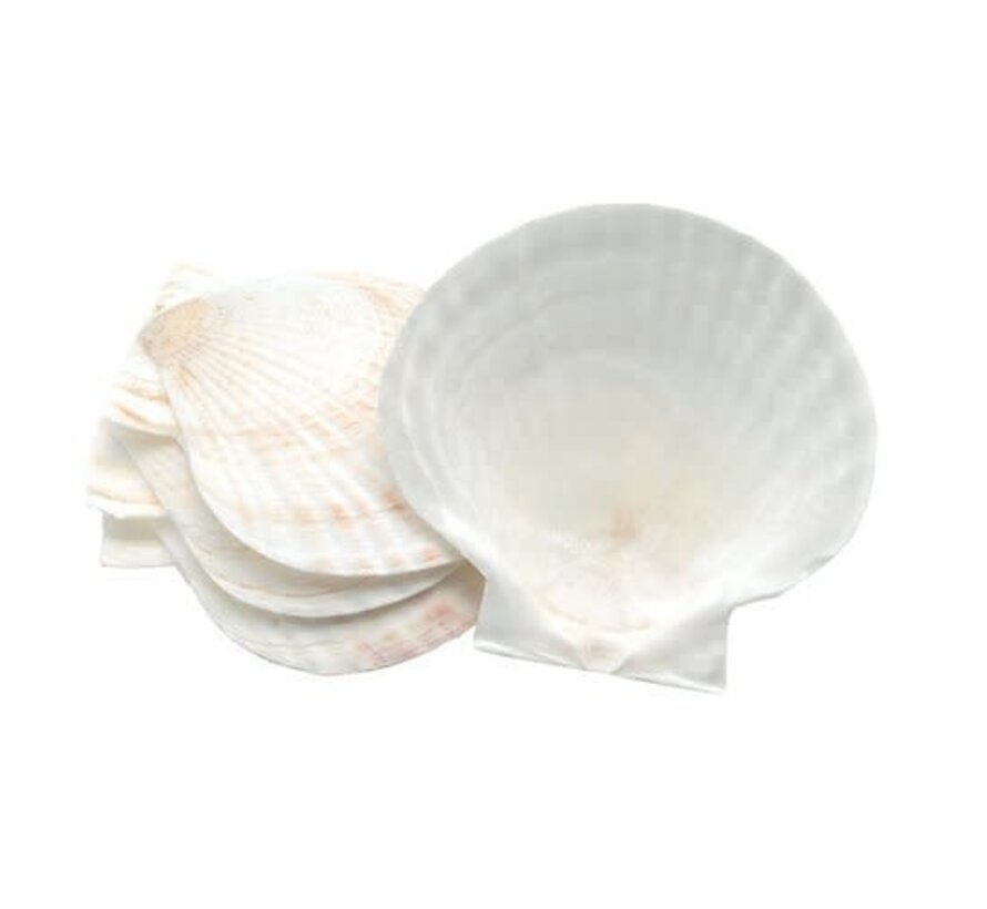 Natural Canape Shells, 5 Pc.