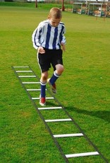 Avanti AGILITY LADDER