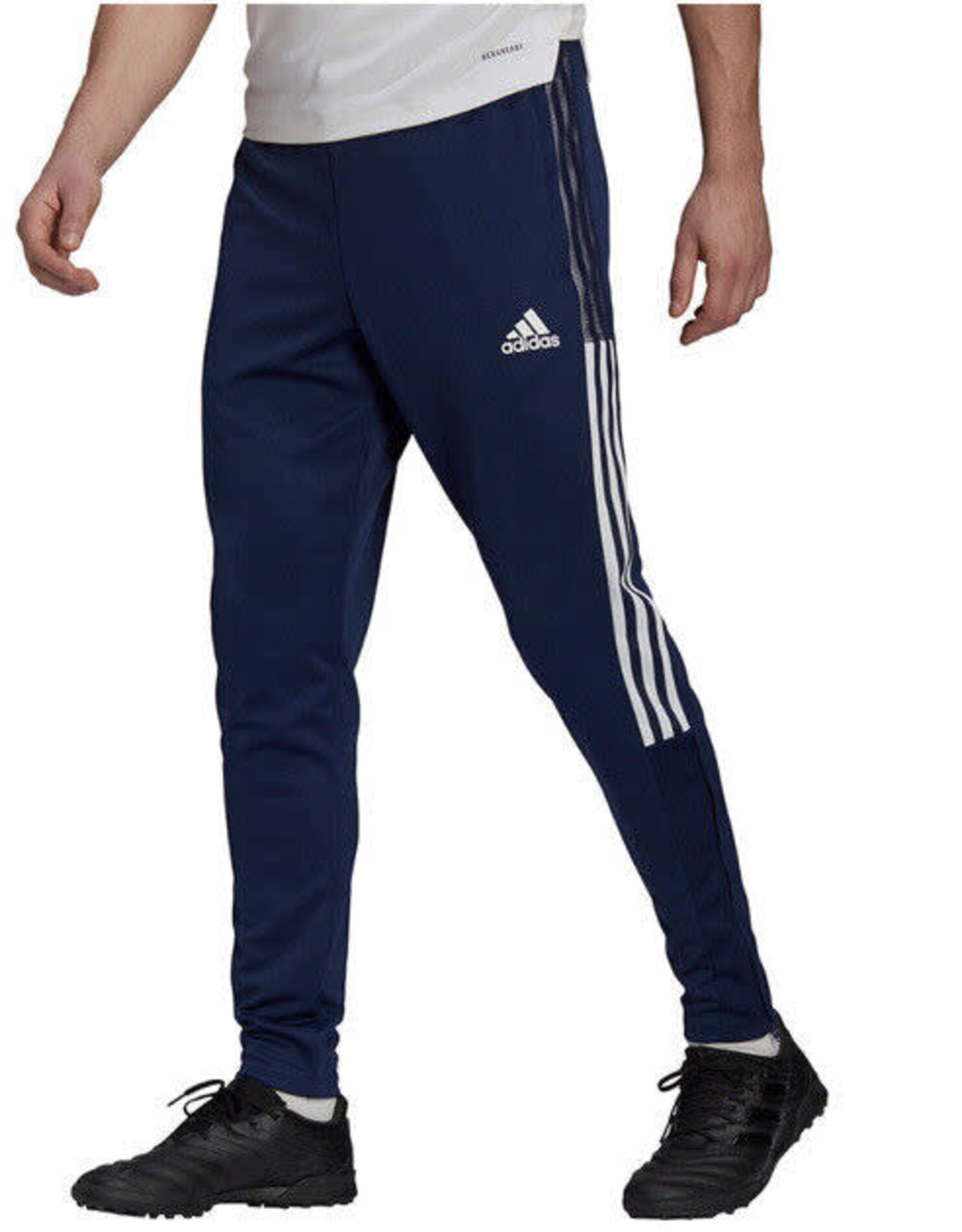 Adidas TIRO21 ADULT PANT