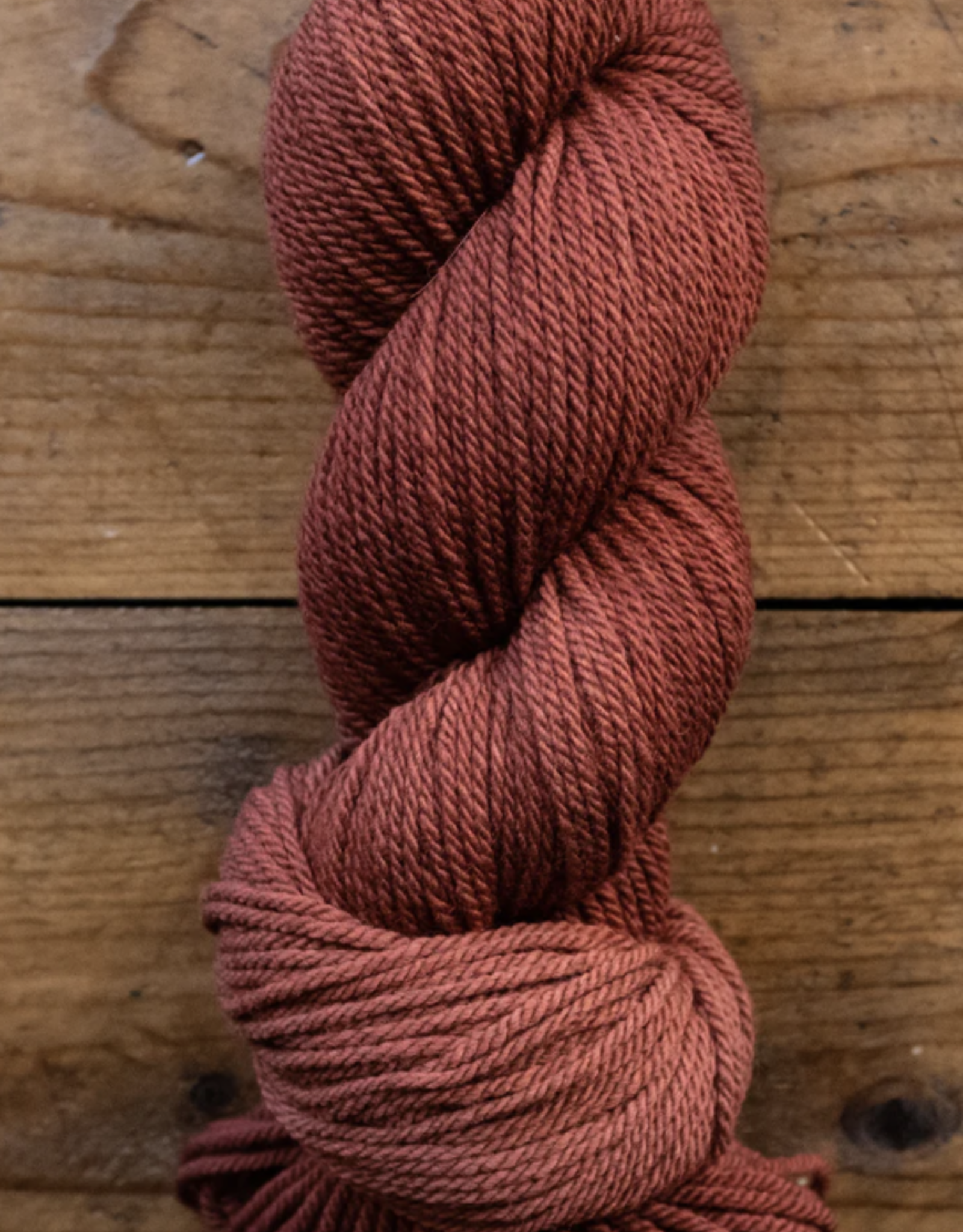 Verdant Season - Worsted/Aran Yarn – Bashful Armadillo Fibers