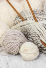 Class-Pick Your Project w/ Lisa  Friday AM Winter 2026