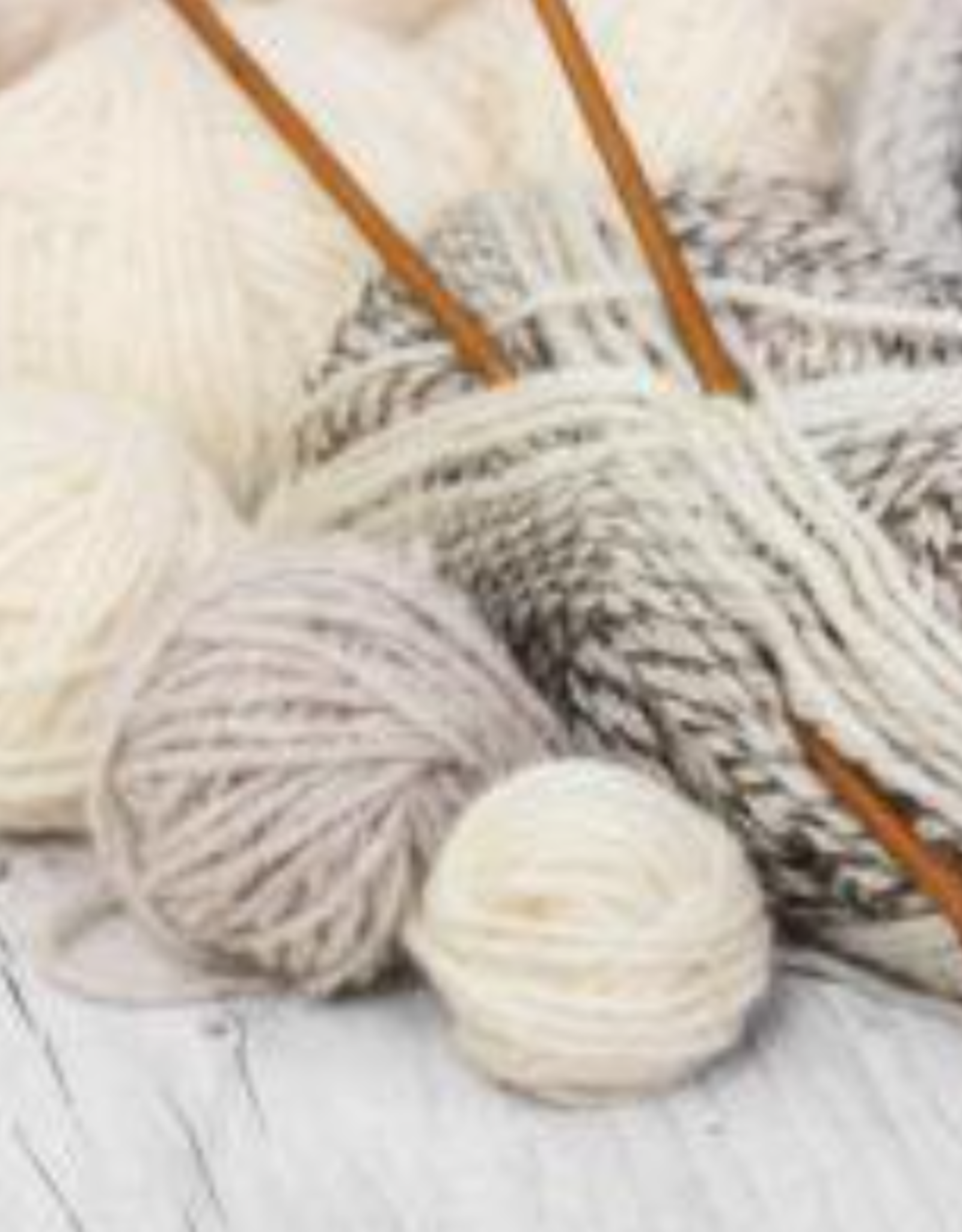 Class-Pick Your Project w/ Lisa  Friday AM Winter 2026