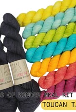 Emma's Yarn Drop Ship Wings of Wonder Kit