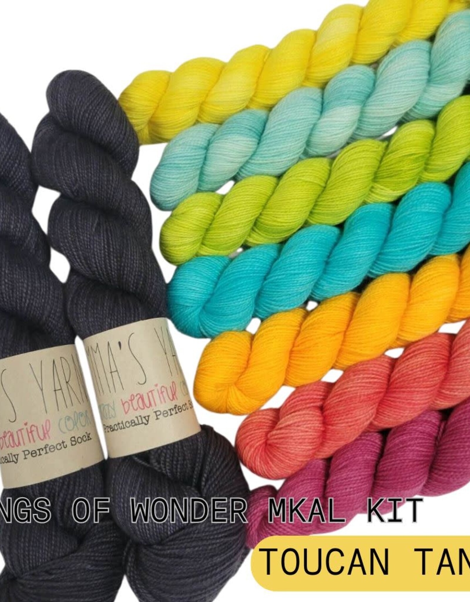 Emma's Yarn Drop Ship Wings of Wonder Kit