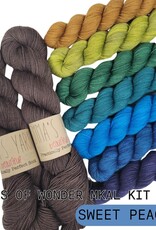 Emma's Yarn Drop Ship Wings of Wonder Kit