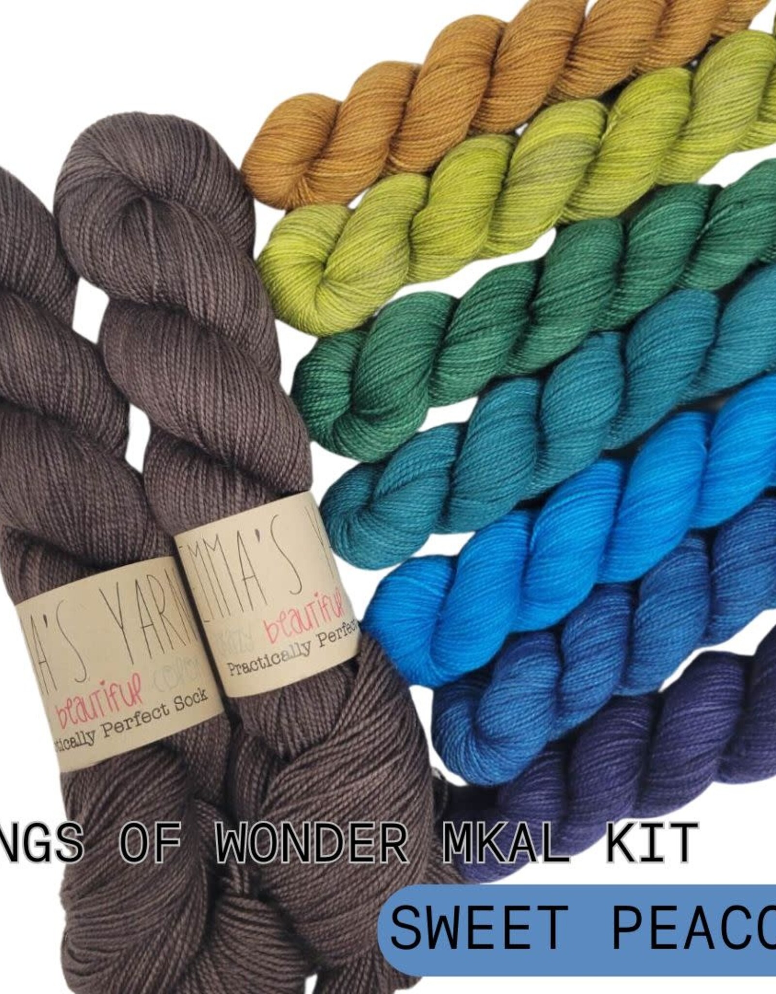 Emma's Yarn Drop Ship Wings of Wonder Kit