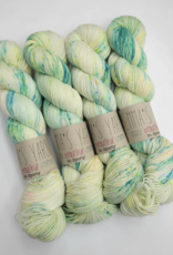 Emma's Yarn Emmas Yarn Practically Perfect Sock