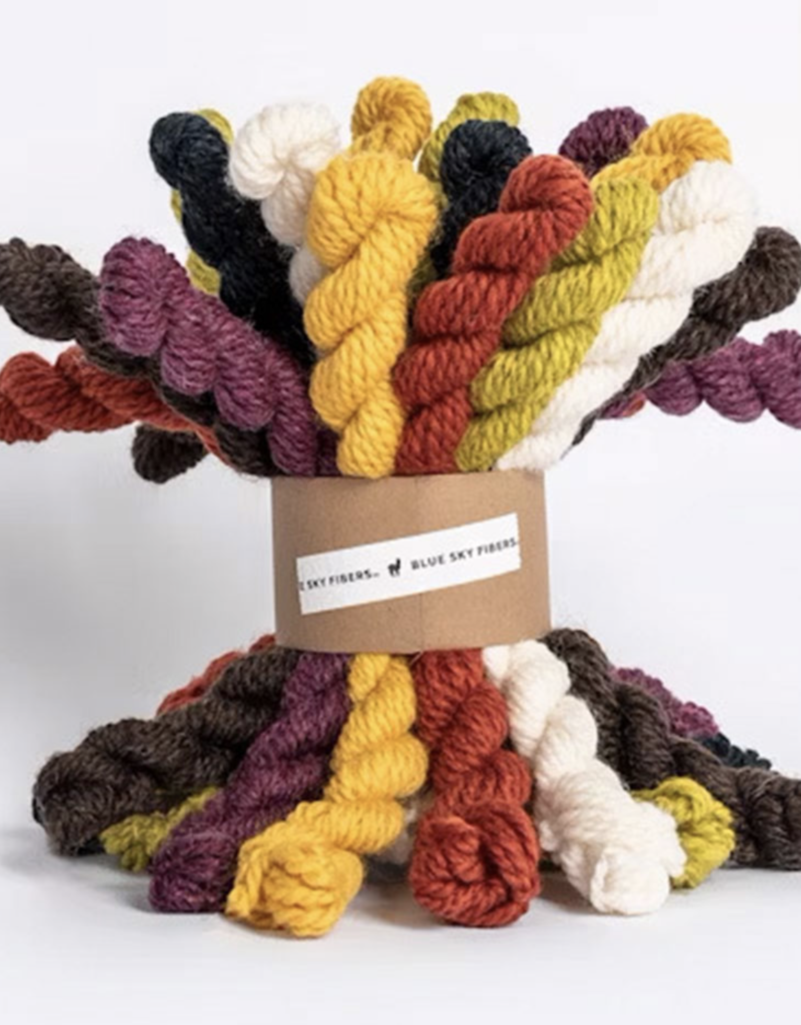 Blue Sky Alpacas Woolstok Bundle