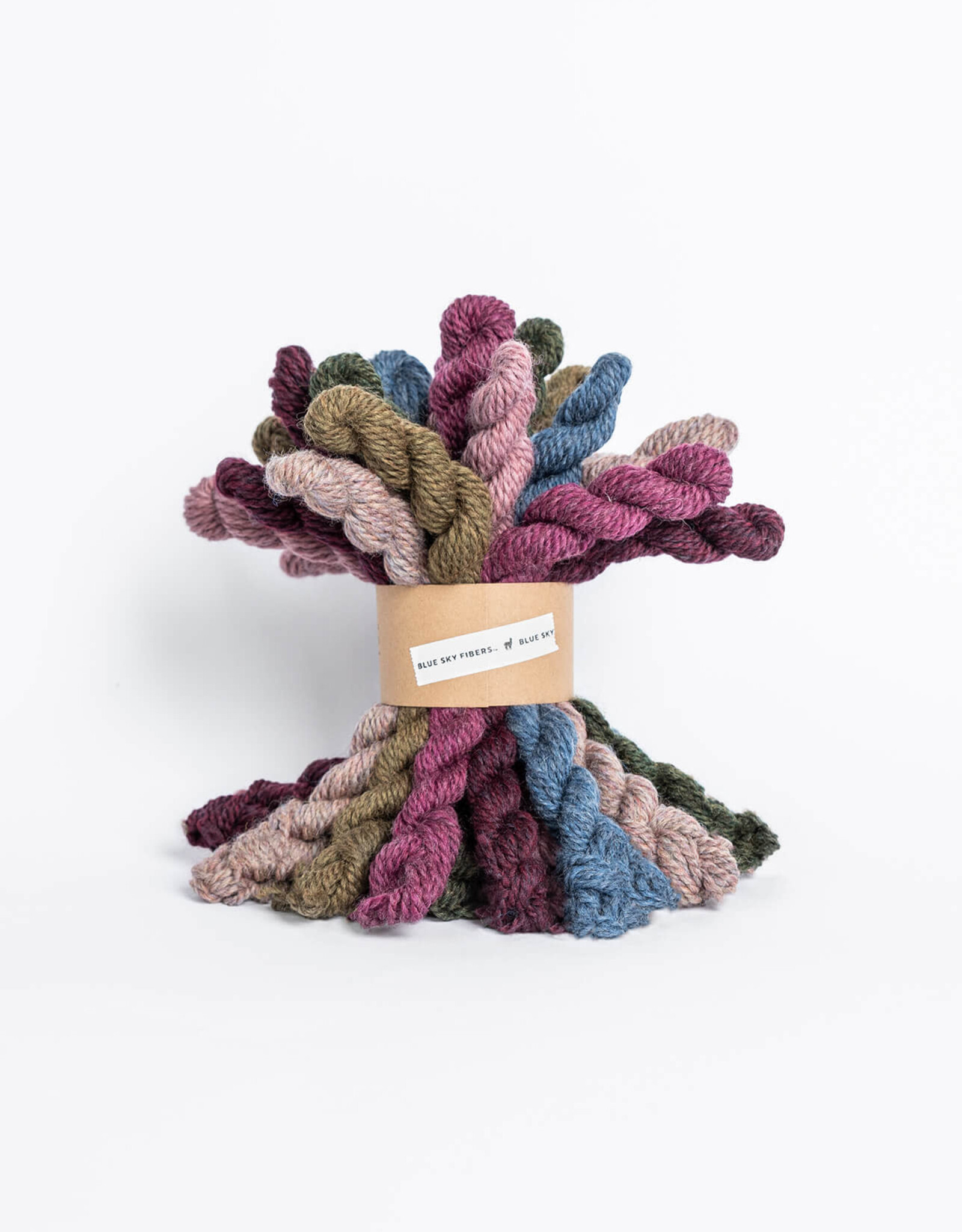 Blue Sky Alpacas Woolstok Bundle