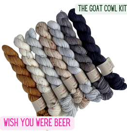 Emma's Yarn IN STORE GOAT COWL