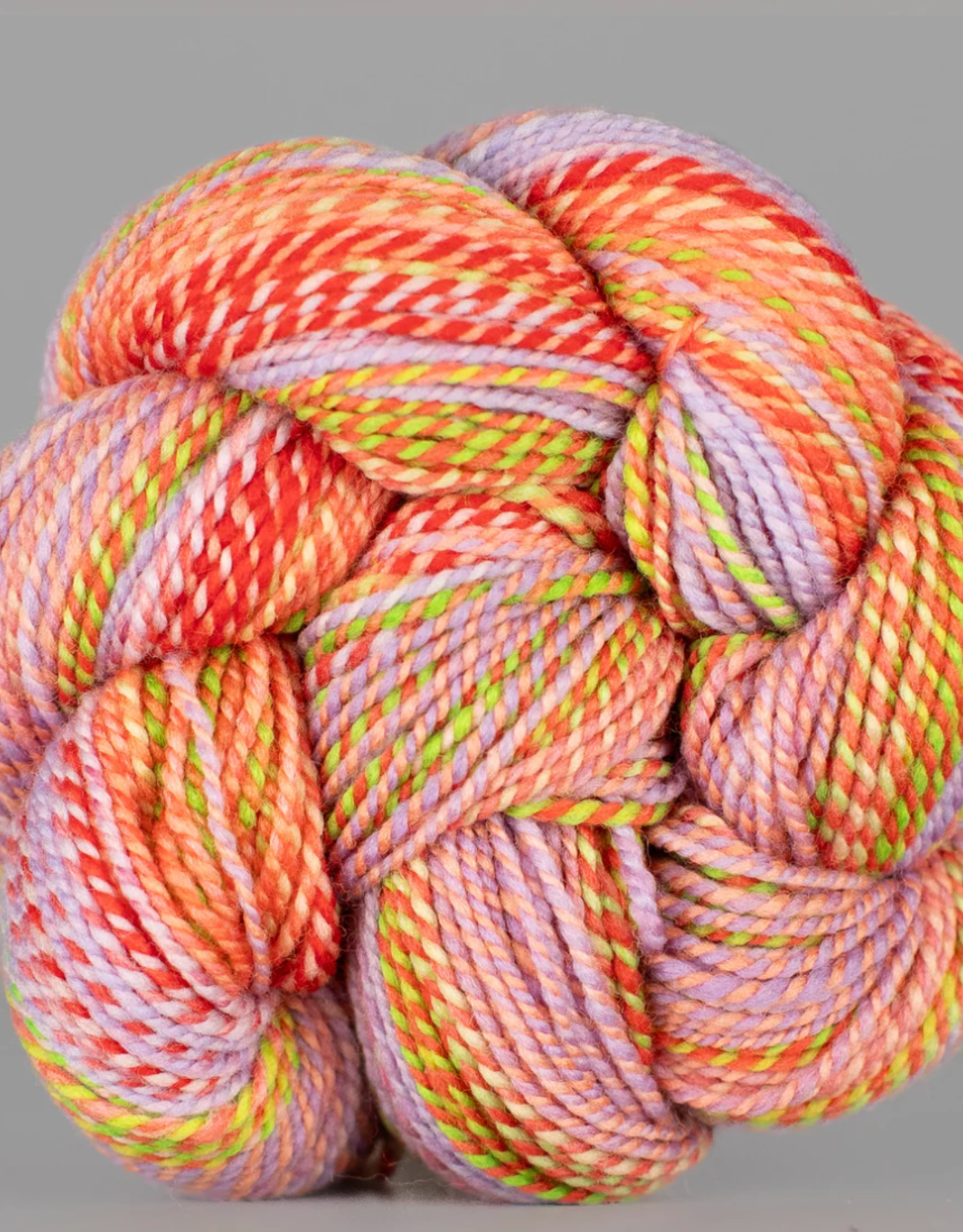 Spincycle Yarns Spincycle Yarns Dyed In The Wool