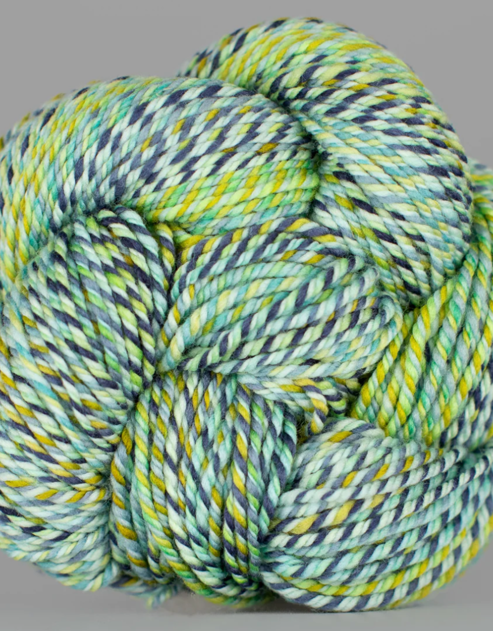 Spincycle Yarns Spincycle Yarns Dream State