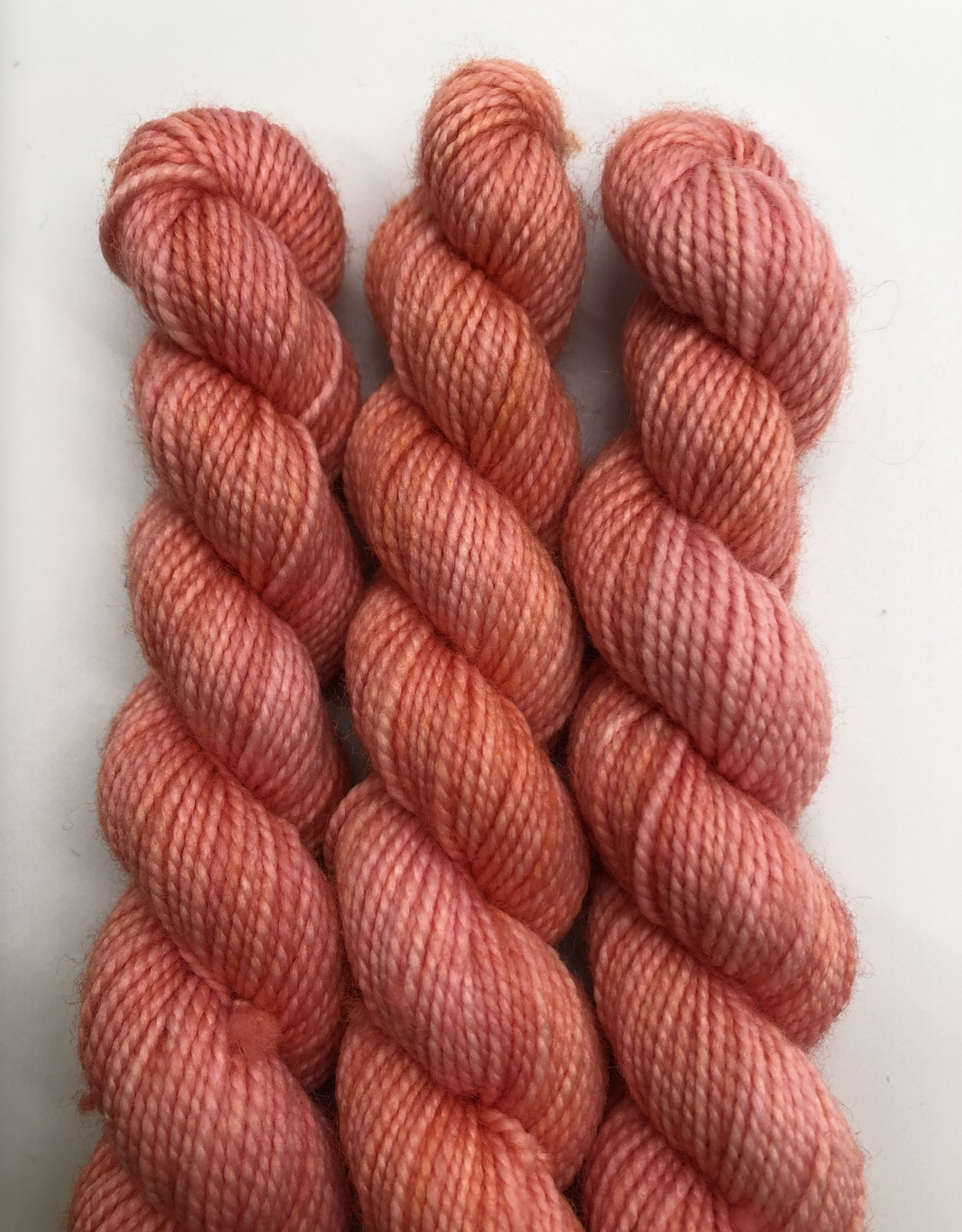 Emma's Yarn Emmas Yarn Practically Perfect Sock SMALL
