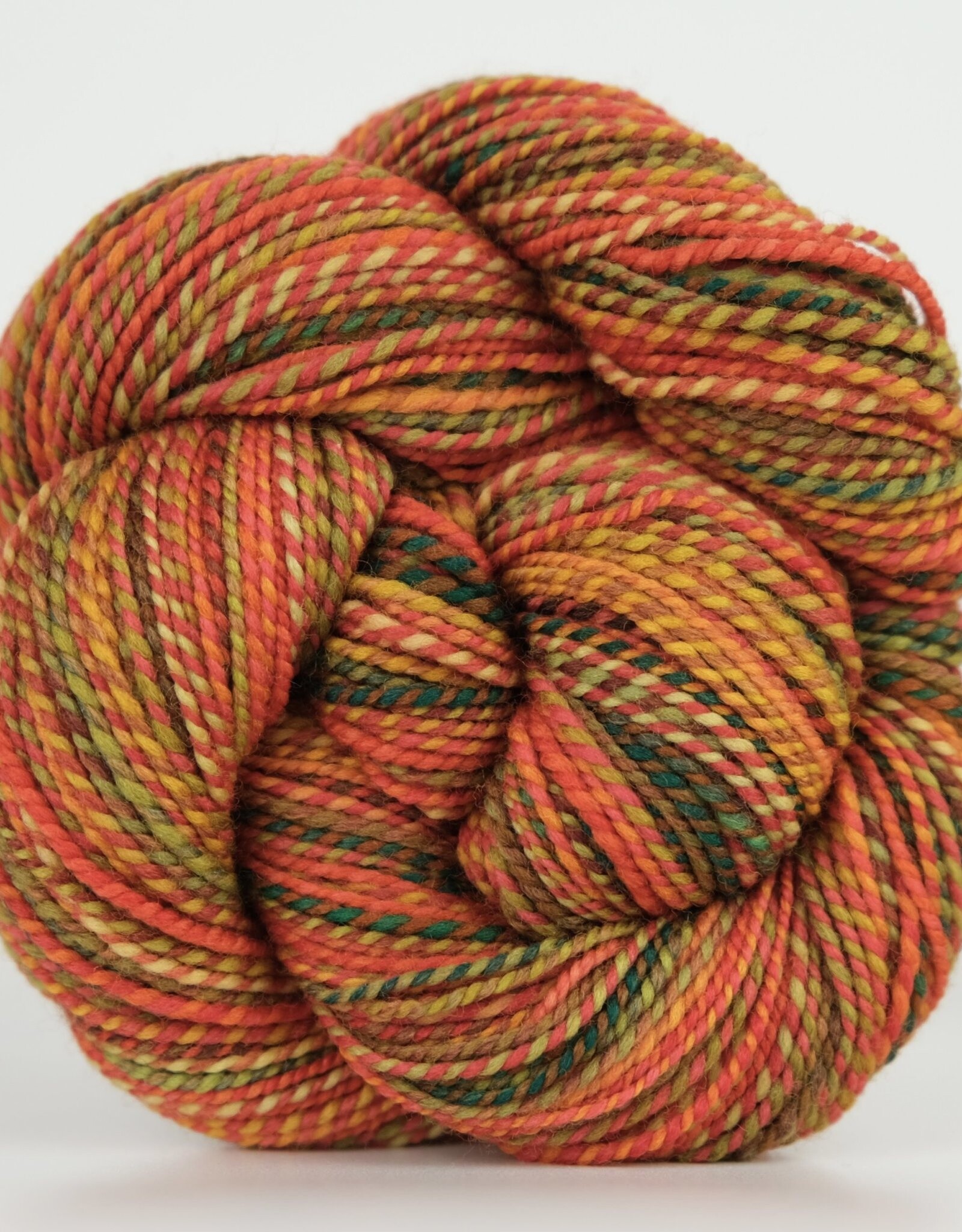 Spincycle Yarns Spincycle Yarns Dyed In The Wool