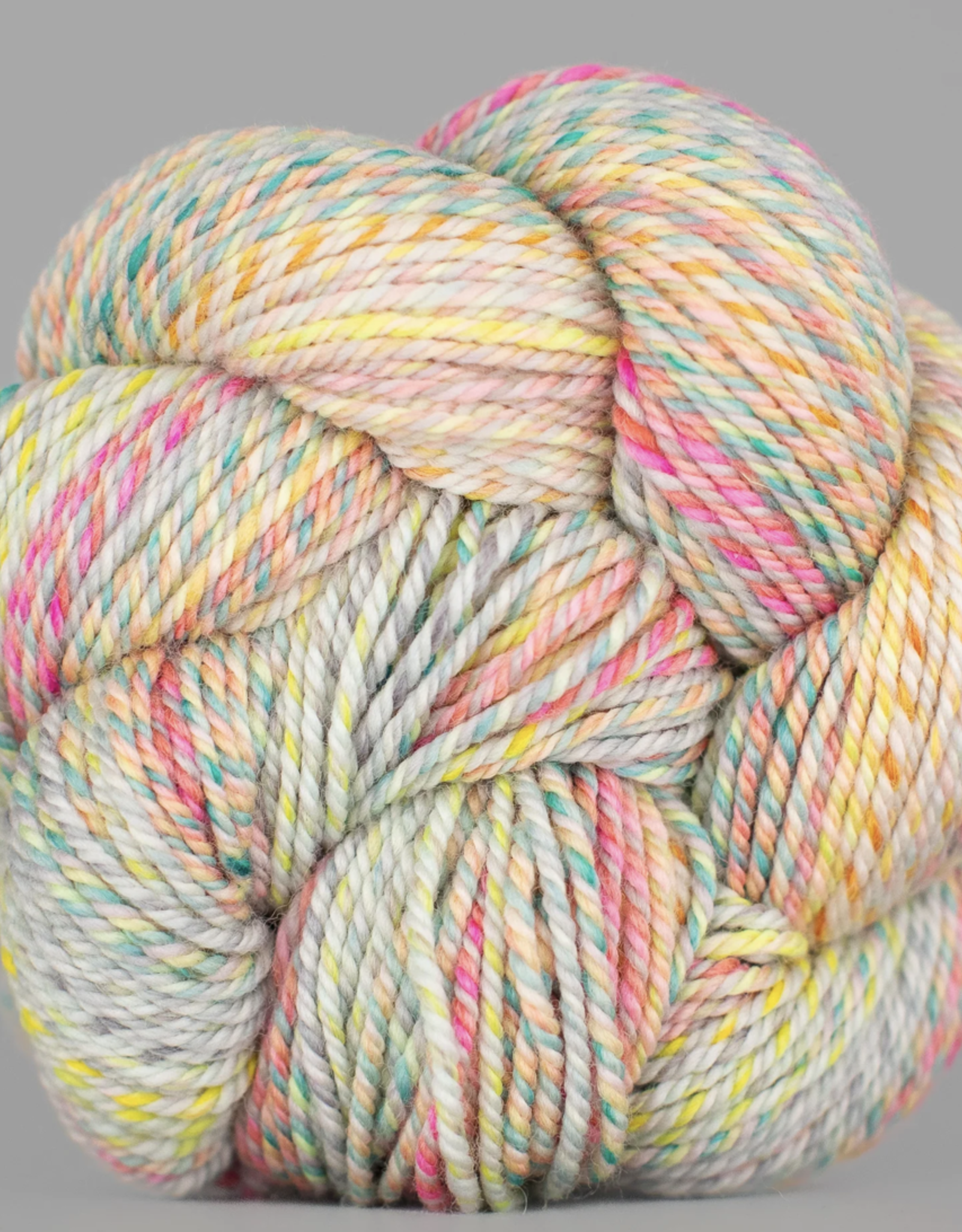 Spincycle Yarns Spincycle Yarns Dream State