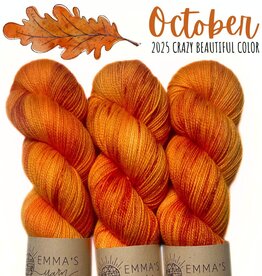 Emma's Yarn Emma’s Yarn CBC Club Practically Perfect Sock
