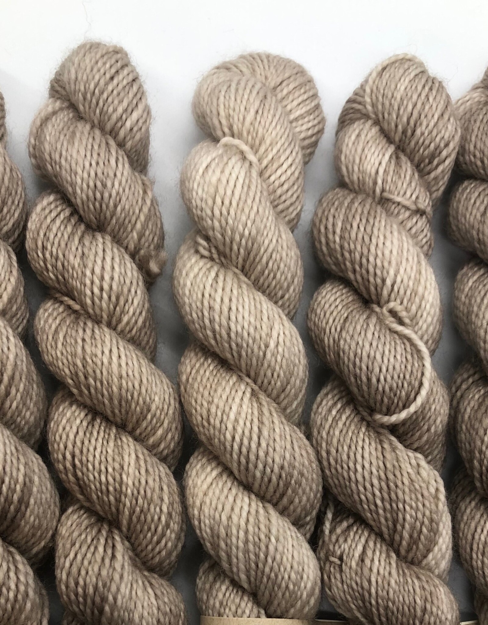 Emma's Yarn Emmas Yarn Practically Perfect Sock SMALL