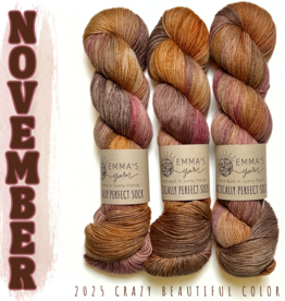 Emma's Yarn Emma’s Yarn CBC Club Practically Perfect Sock