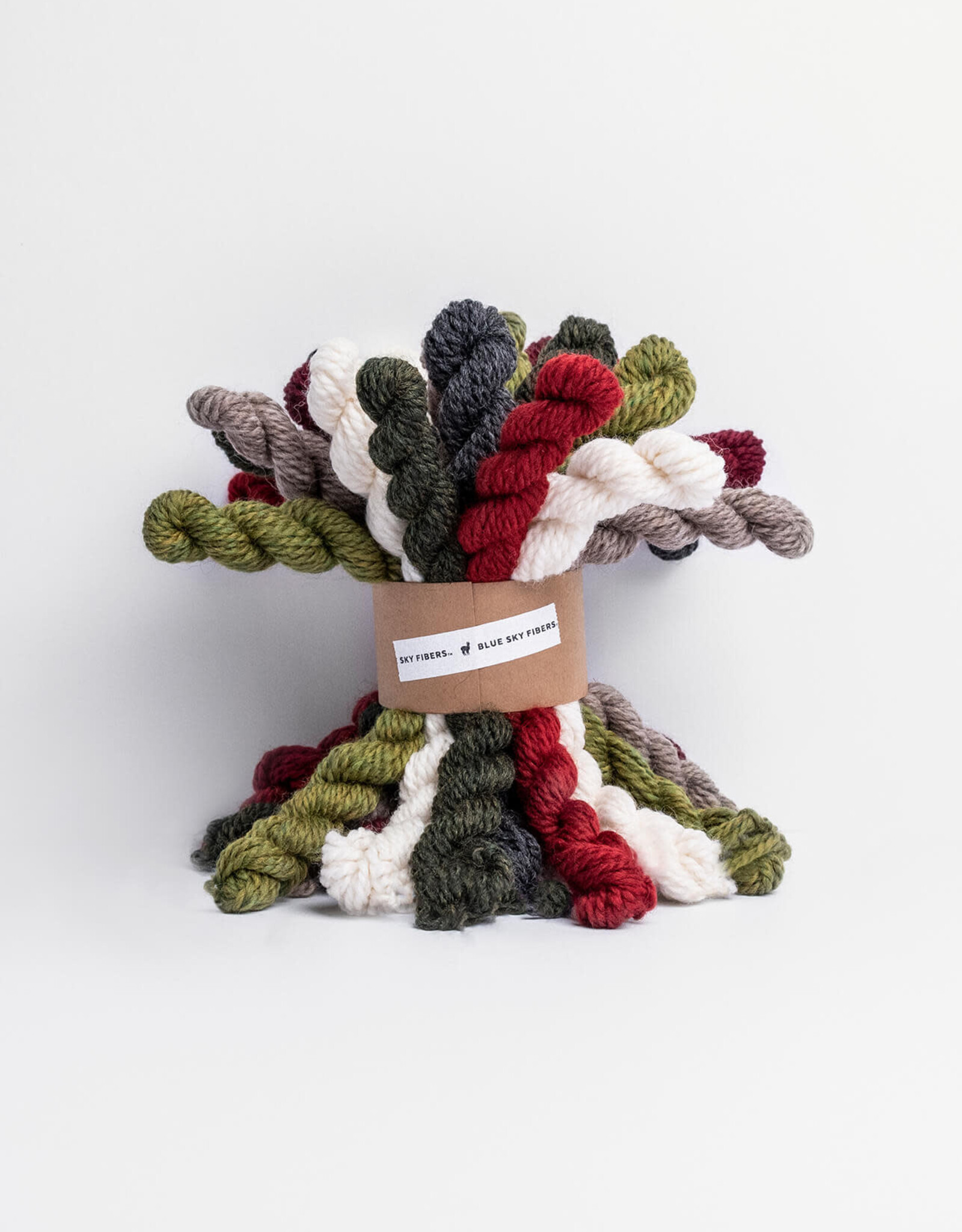 Blue Sky Alpacas Woolstok Bundle