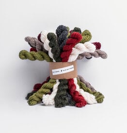 Blue Sky Alpacas Woolstok Bundle