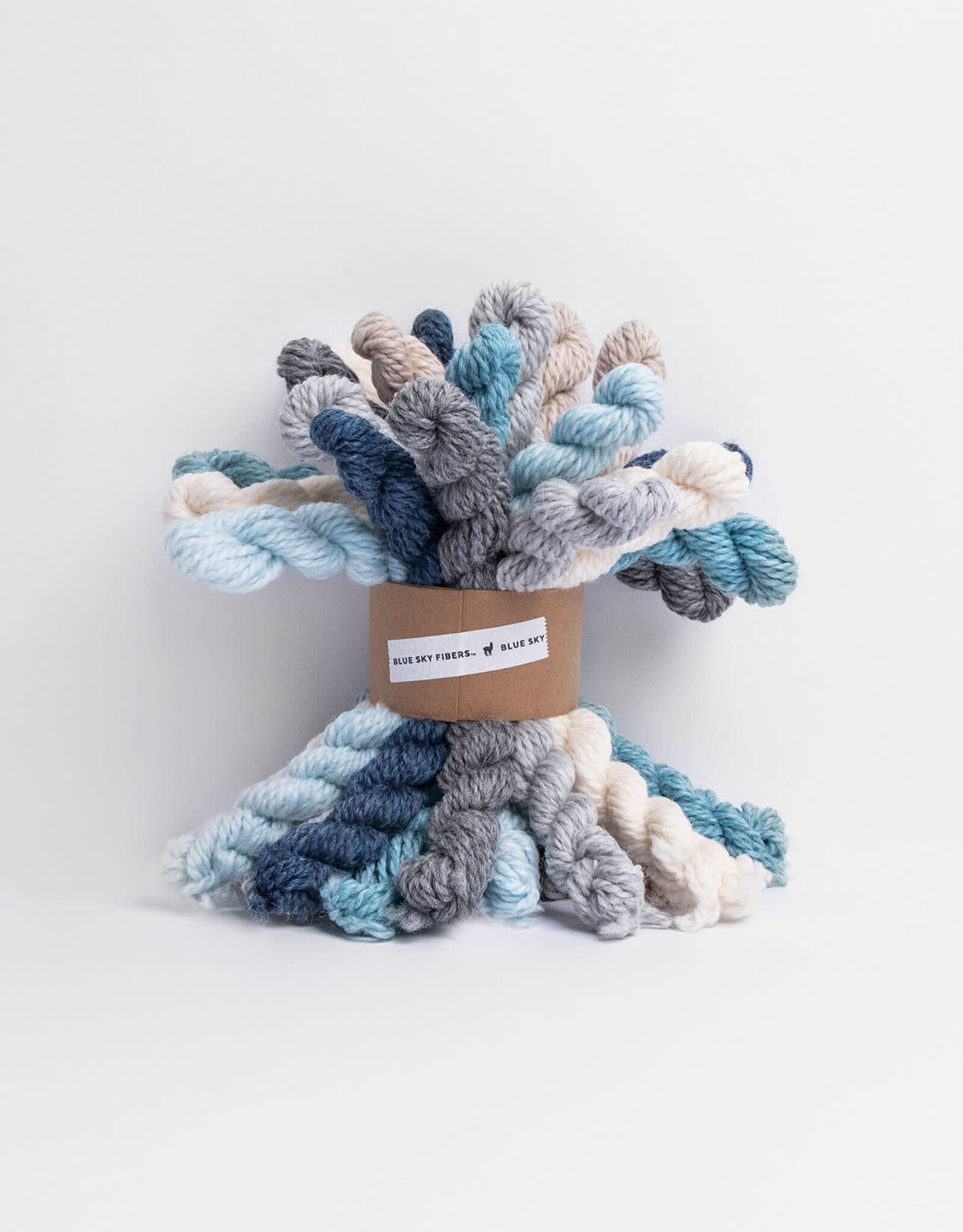 Blue Sky Alpacas Woolstok Bundle