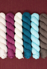 Queen City Yarn Gingerbread MKAL Kit